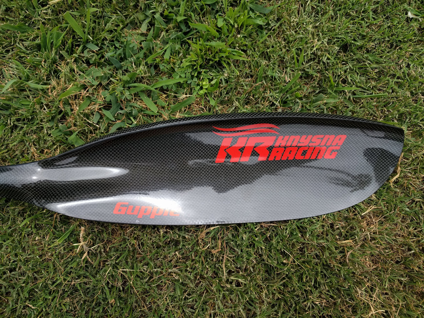 Guppie Paddle